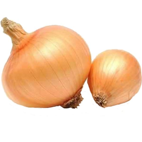 Cebola graúda